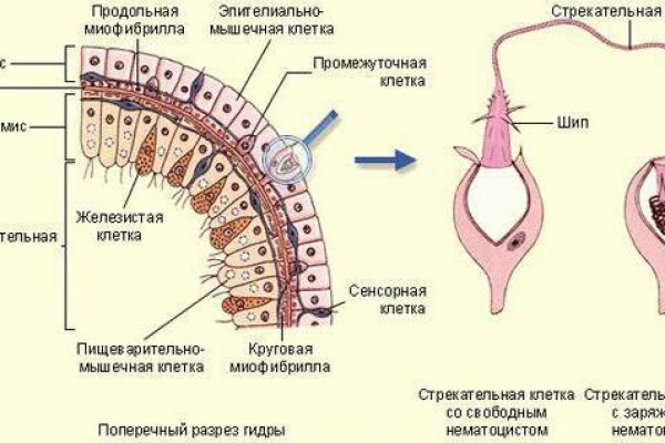 Как зайти на кракен даркнет