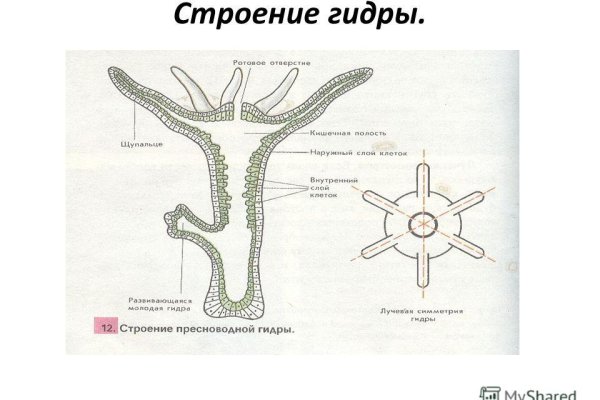Пользователь не найден при входе на кракен
