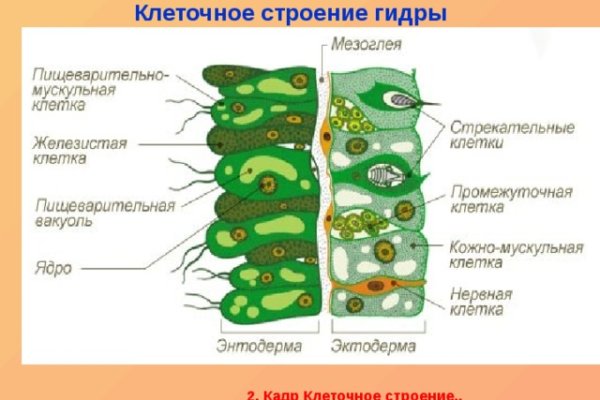 Кракен сайт ссылки актуальные